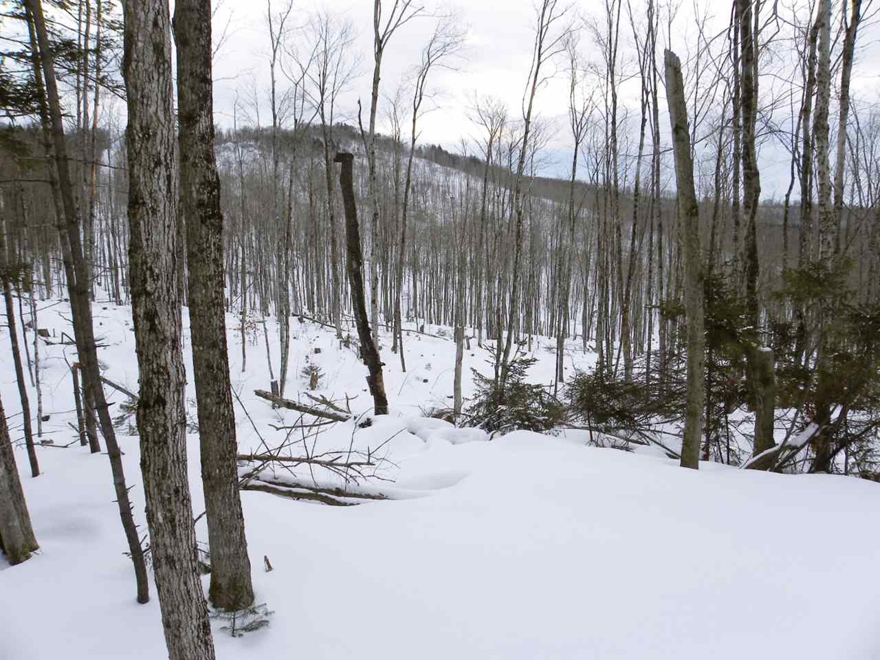 - New Duck Pond Road Sheffield, VT 05866 - Photo 20 of 26