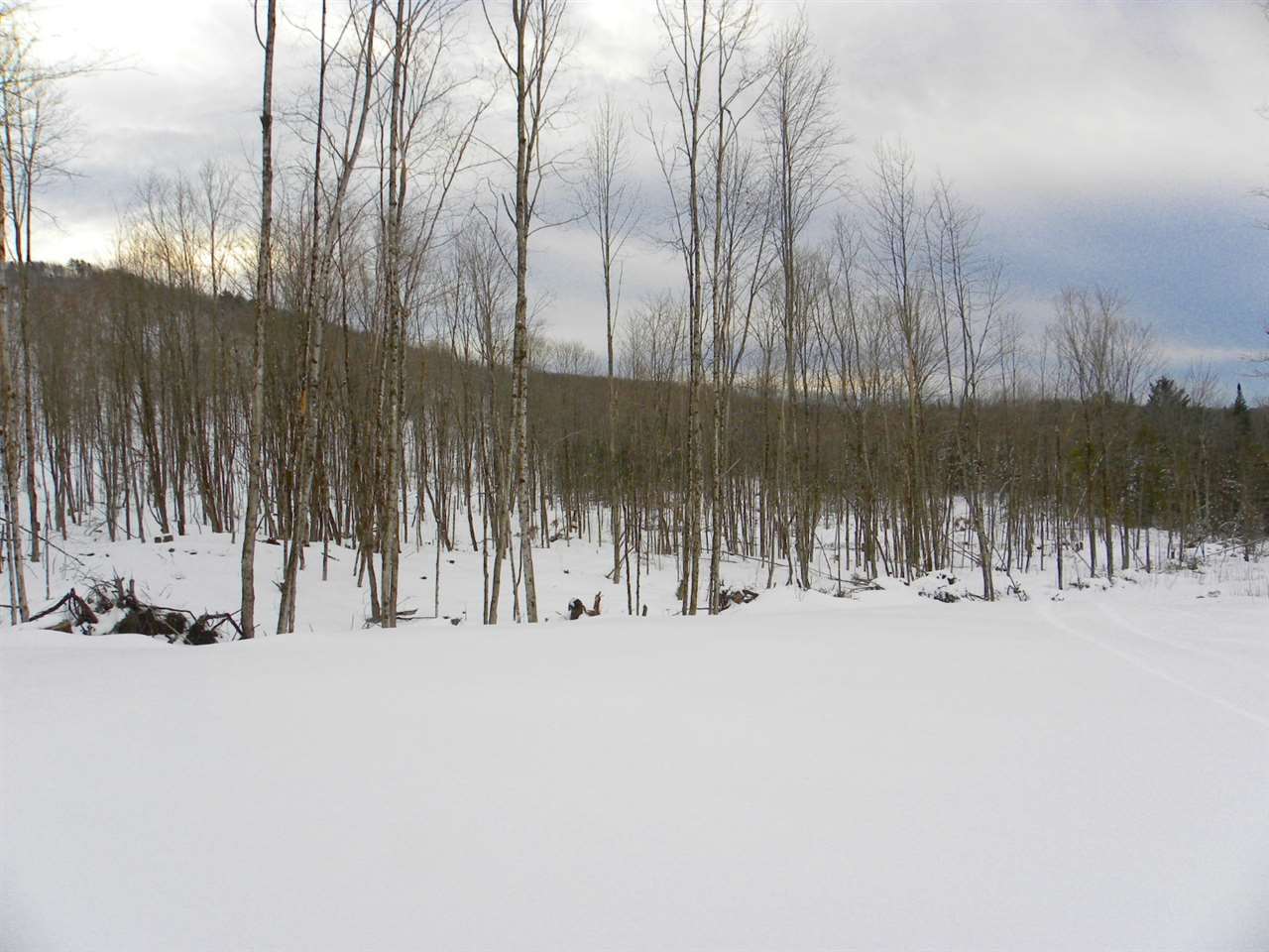 - New Duck Pond Road Sheffield, VT 05866 - Photo 3 of 26