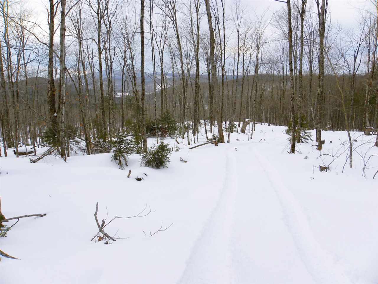 - New Duck Pond Road Sheffield, VT 05866 - Photo 21 of 26