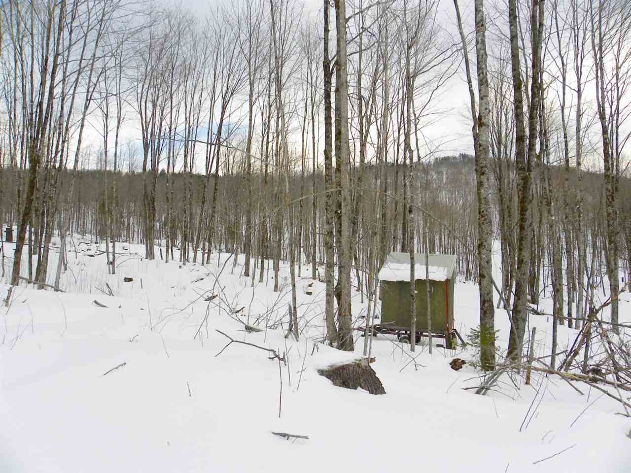 - New Duck Pond Road Sheffield, VT 05866 - Photo 24 of 26