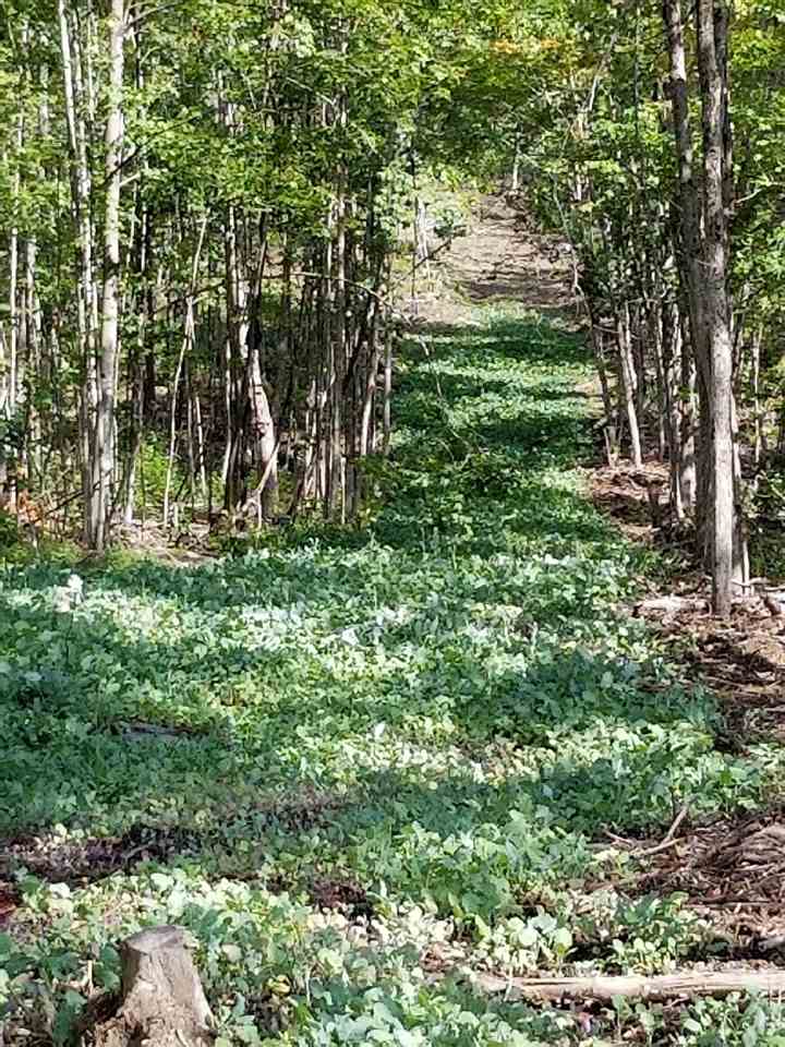 - New Duck Pond Road Sheffield, VT 05866 - Photo 4 of 26