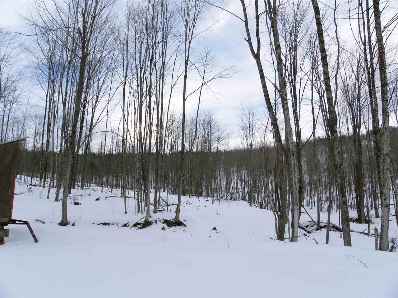 - New Duck Pond Road Sheffield, VT 05866 - Photo 7 of 26