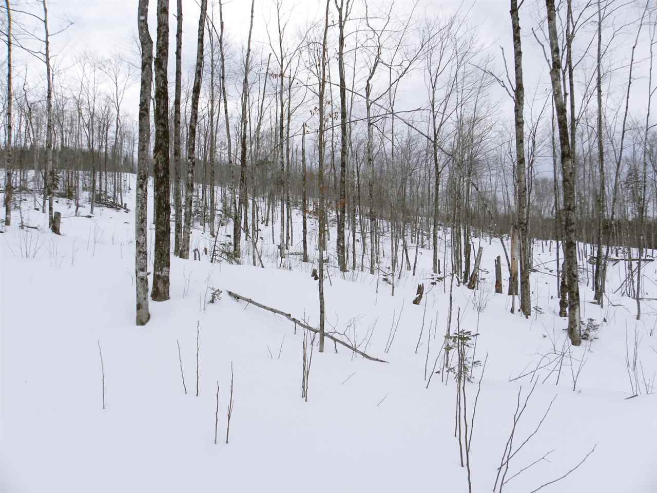 - New Duck Pond Road Sheffield, VT 05866 - Photo 8 of 26