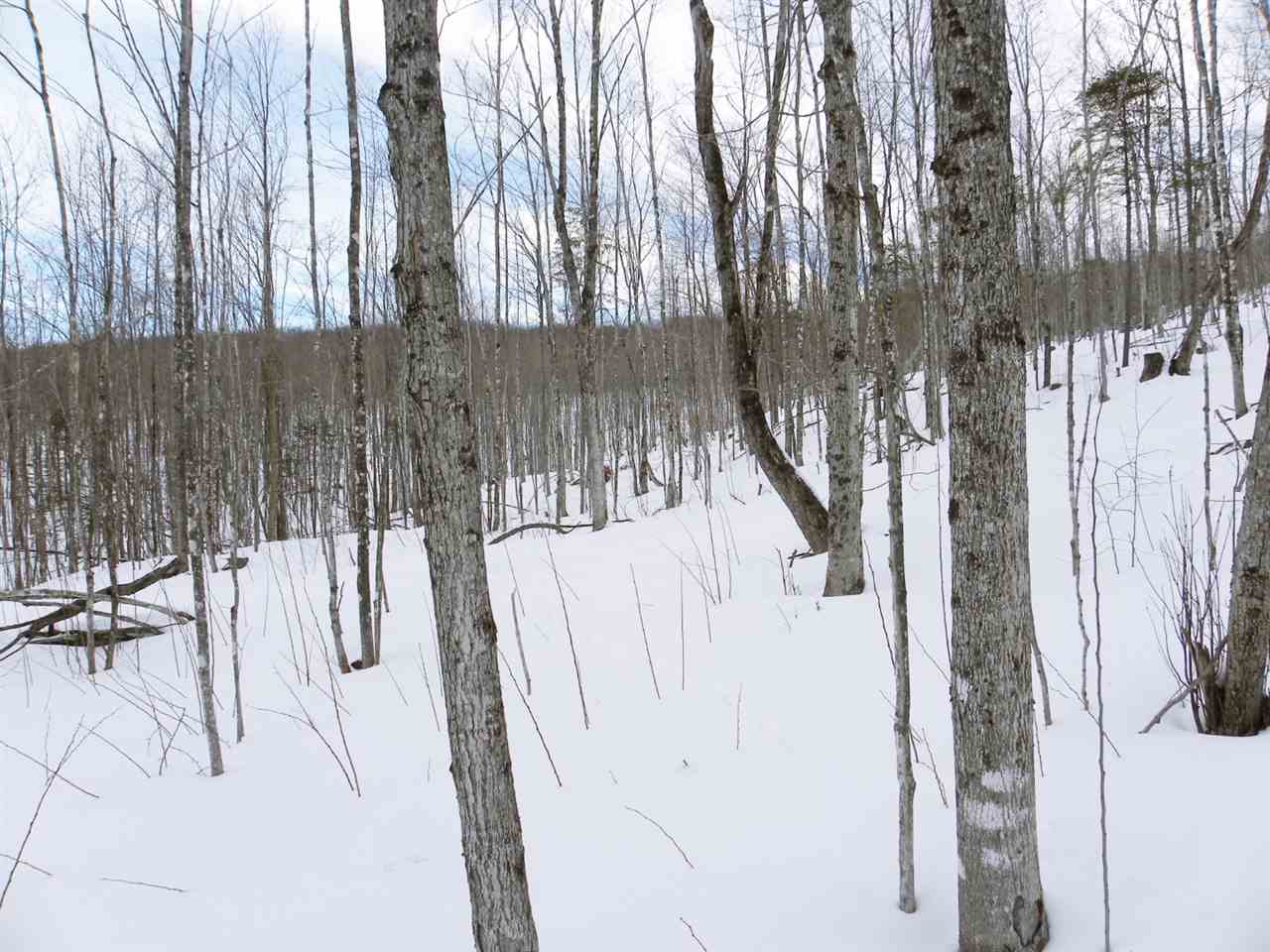 - New Duck Pond Road Sheffield, VT 05866 - Photo 9 of 26