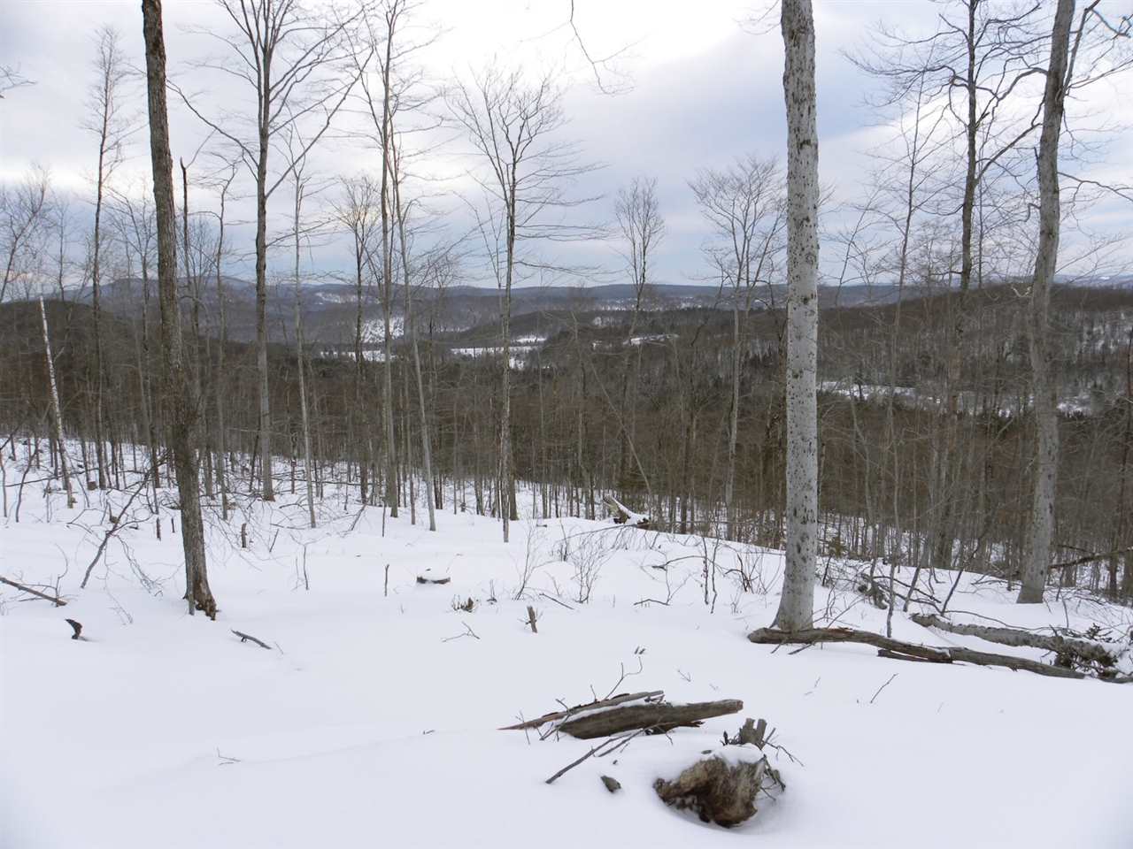 - New Duck Pond Road Sheffield, VT 05866 - Photo 10 of 26