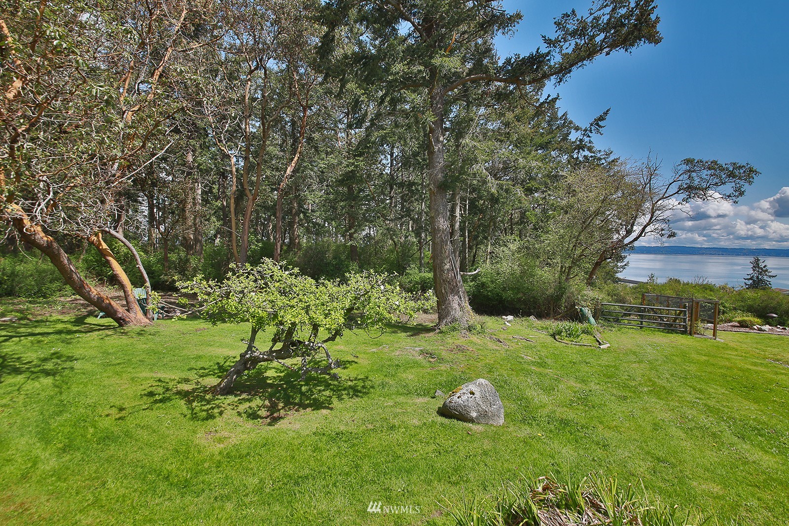 1294 Bonnie View Acres Road Oak Harbor, WA 98277 - Photo 18 of 39 a garden with lots of trees