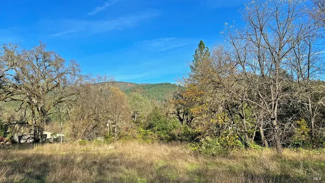 a view of a yard with a tree