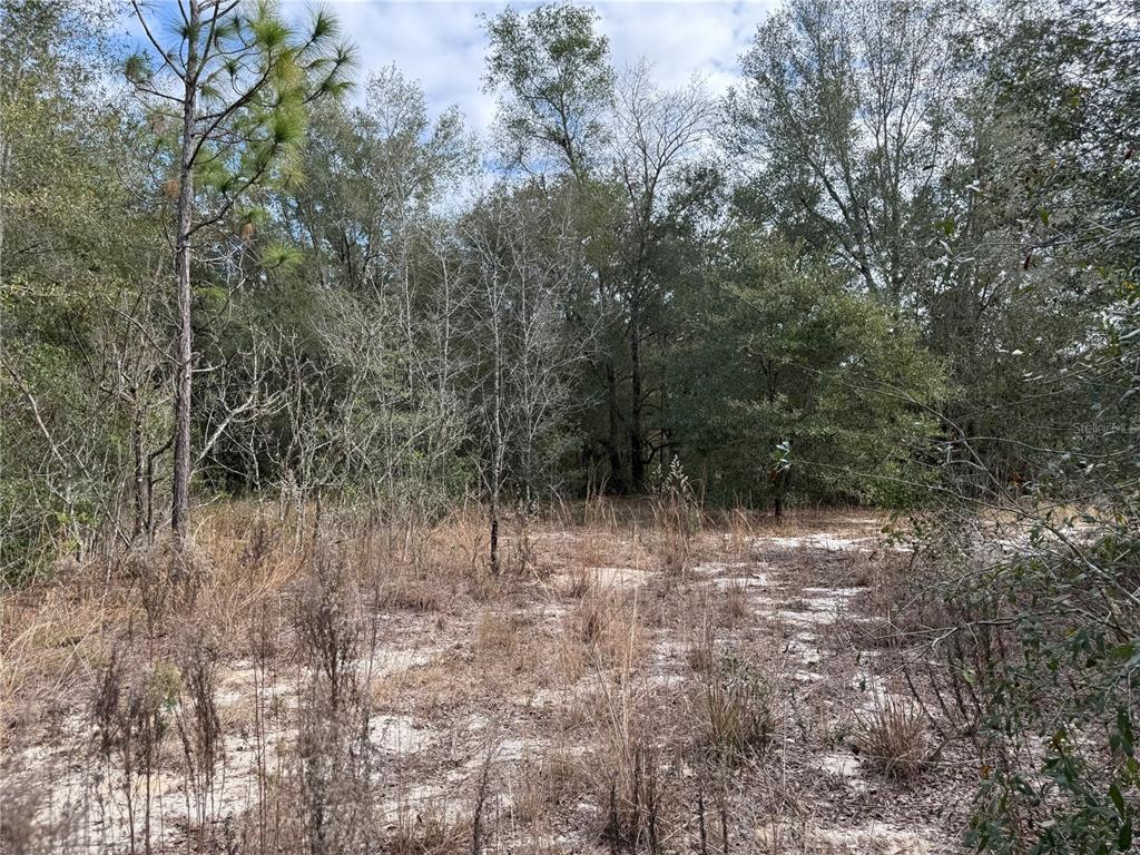 Southeast 92nd Court Belleview, FL 34420 - Photo 6 of 17