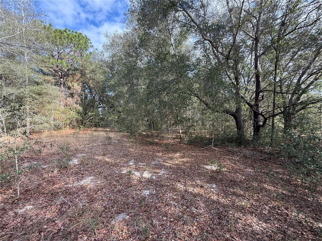 Southeast 92nd Court Belleview, FL 34420 - Photo 9 of 17