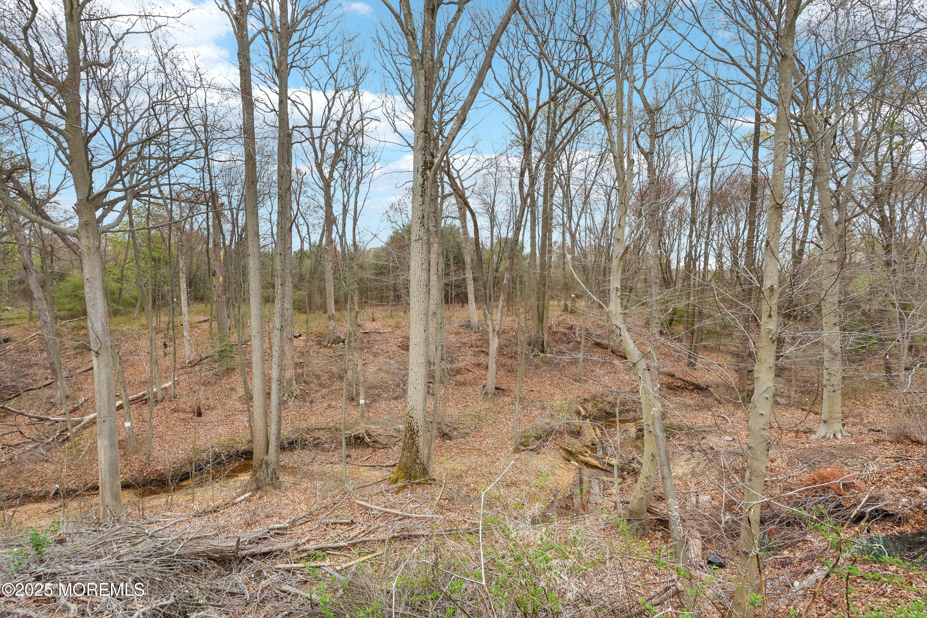 15 Pemberton Drive Matawan, NJ 07747 - Photo 43 of 67 43-print-Pemberton Dr-2204-043