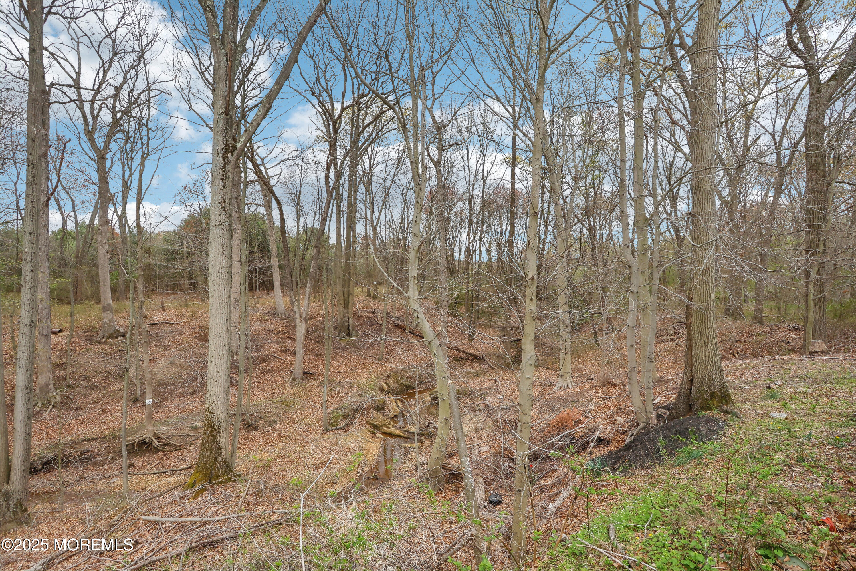 15 Pemberton Drive Matawan, NJ 07747 - Photo 45 of 67 a view of a backyard of the house
