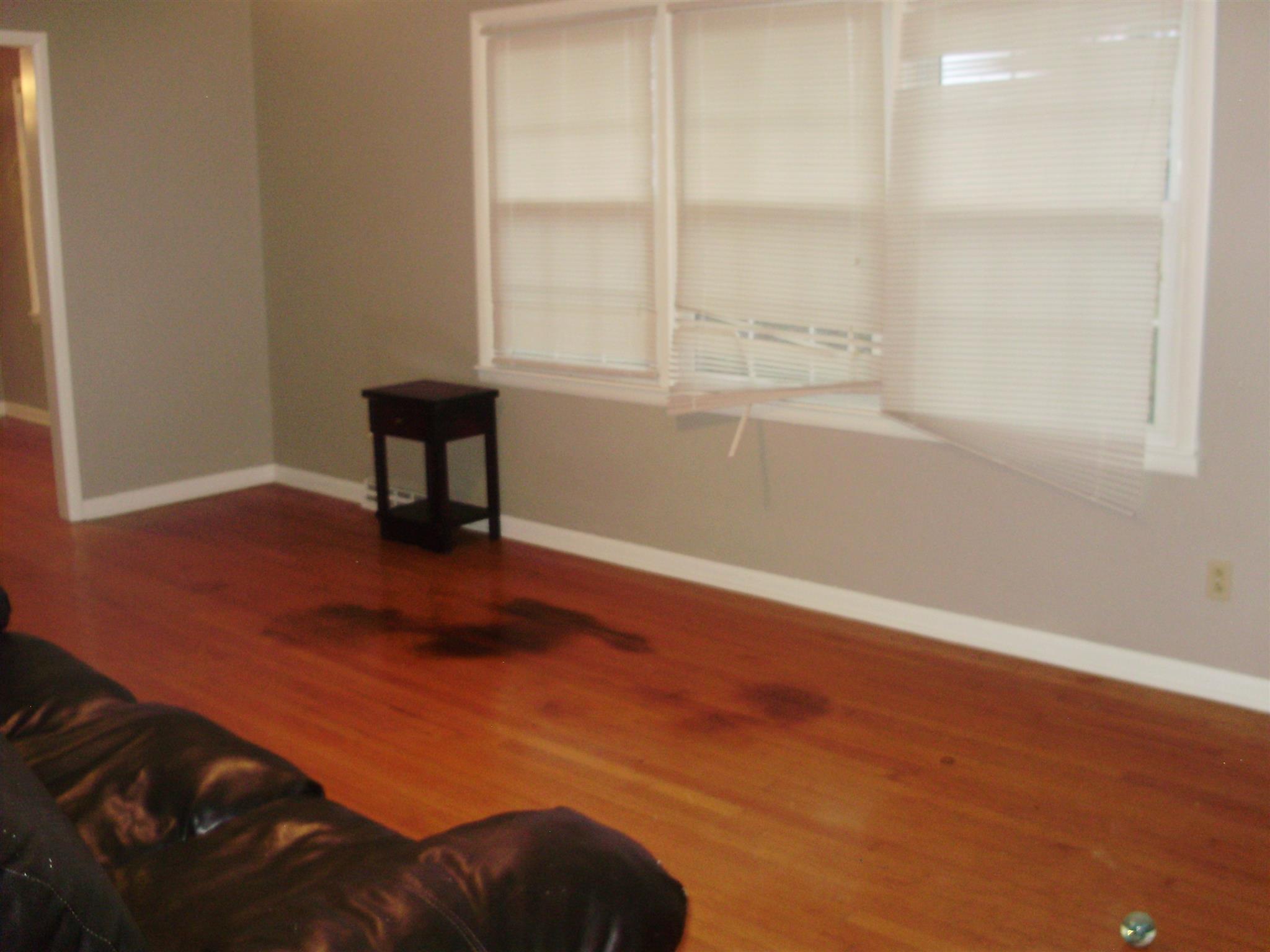 1825 Dyestone Br Road Summertown, TN 38483 - Photo 8 of 11 Gallery Image 8