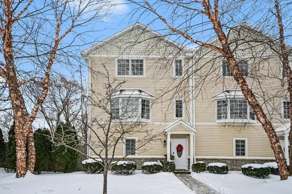 $669,000 | 217 West Merchant Street, New Buffalo, MI 49117