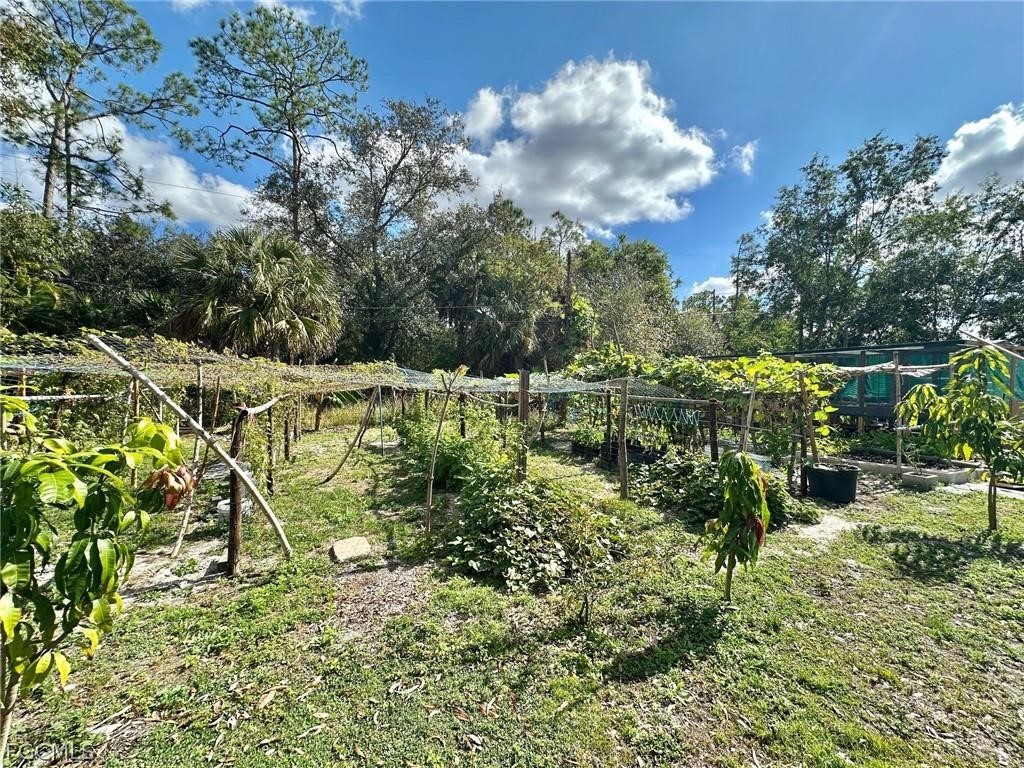 9320 Buckingham Road Fort Myers, FL 33905 - Photo 6 of 19 a view of a yard with plants and large trees