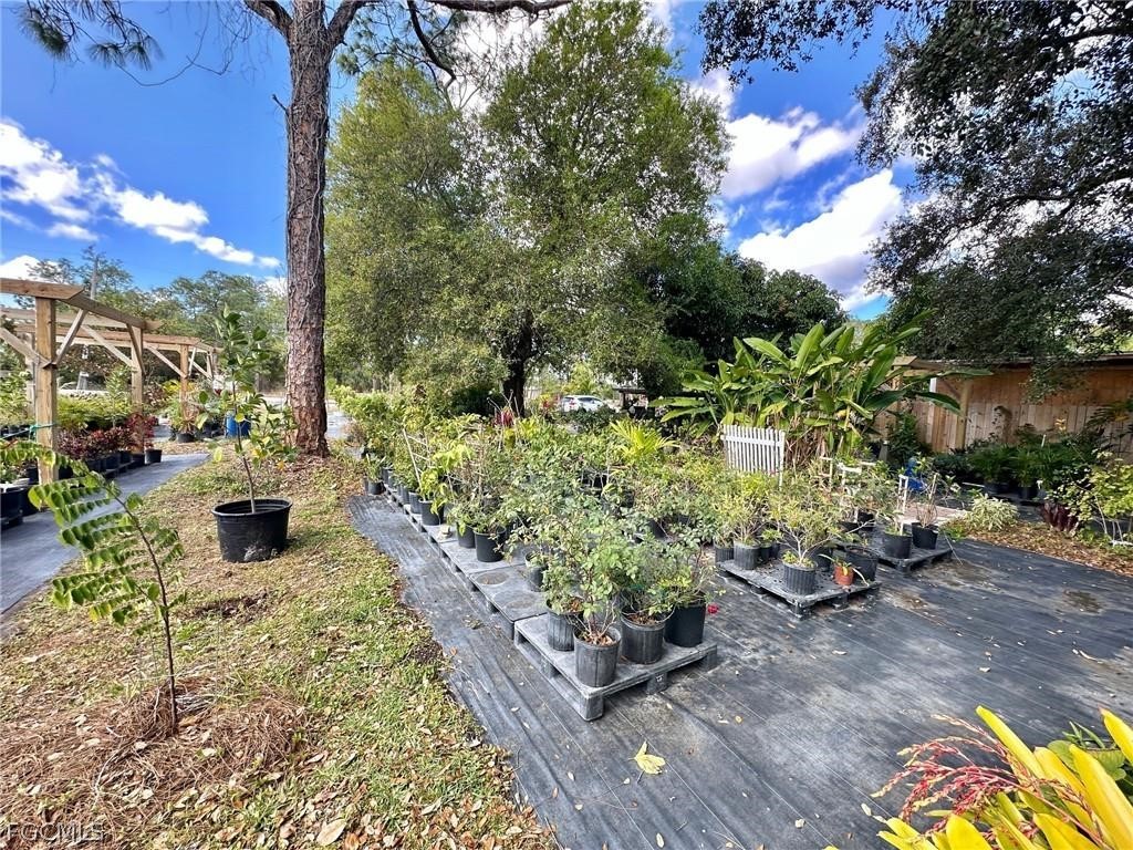 9320 Buckingham Road Fort Myers, FL 33905 - Photo 7 of 19 a big yard with table and chairs potted plants and large tree