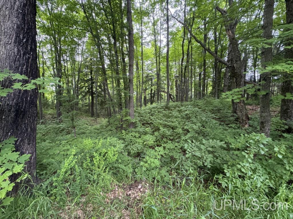 23180 South Laird Road Pelkie, MI 49958 - Photo 85 of 88