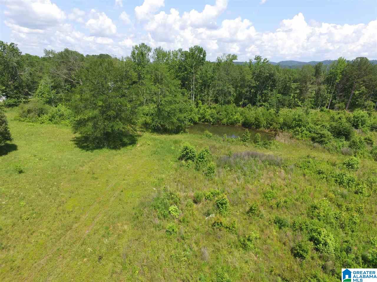 Slasham Road, Unit 10 Ashville, AL 35953 - Photo 8 of 9
