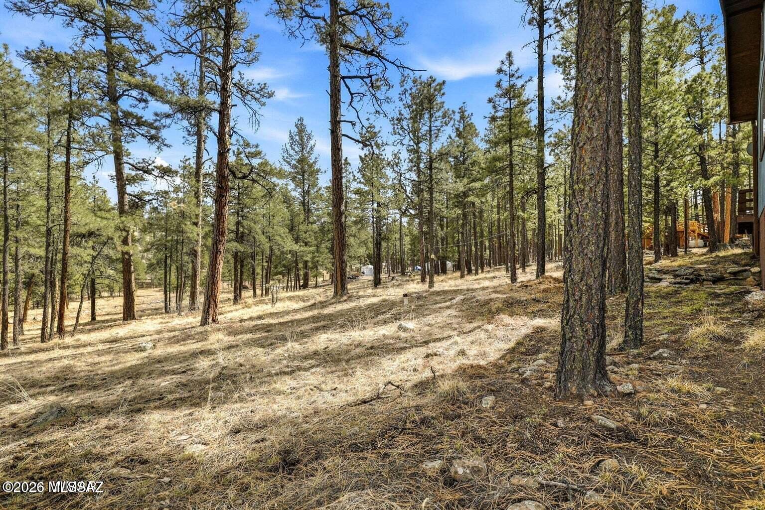 6 County Road 2148 Alpine, AZ 85920 - Photo 16 of 29 16