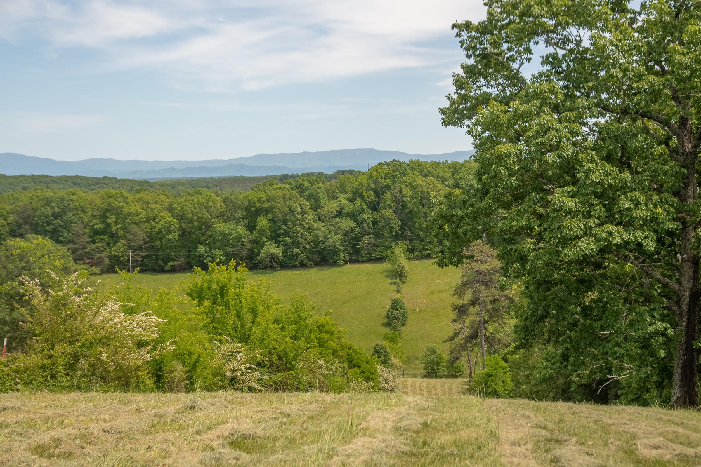 5102 Southwest Wesleyan Road Cleveland, TN 37311 - Photo 66 of 73 Wesleyan-70