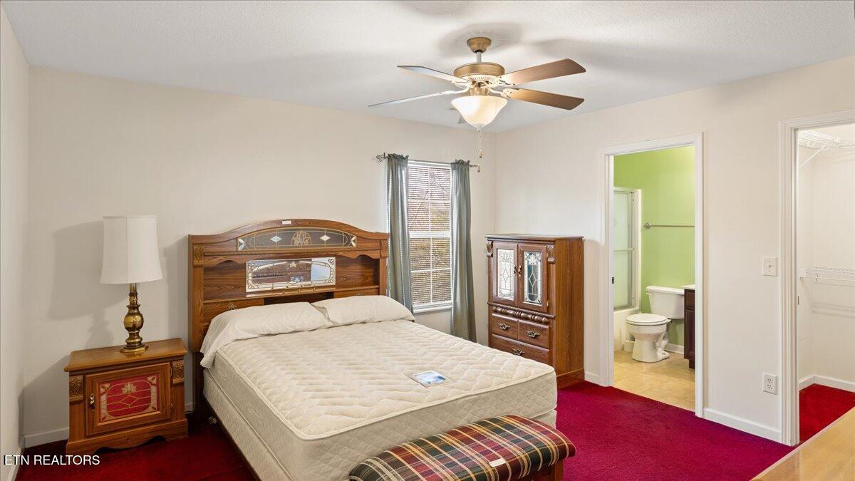 507 Drakewood Road Knoxville, TN 37924 - Photo 10 of 21 11-Primary Bedroom