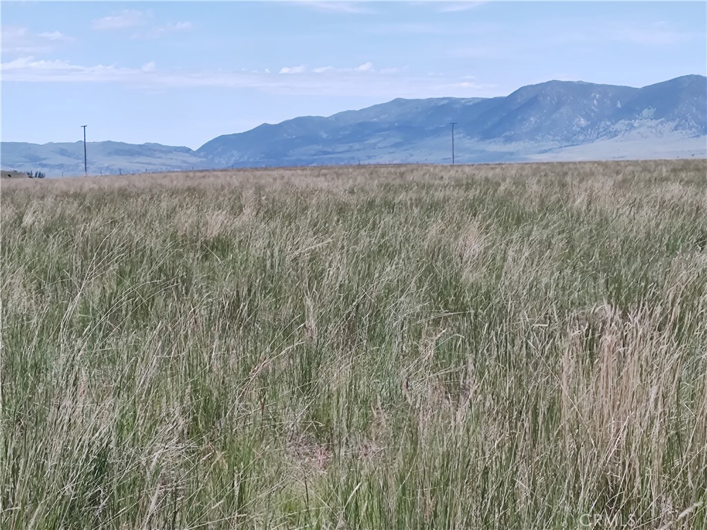 123 Tbd Raghorn Court Ennis, MT 59729 - Photo 15 of 18 a view of an outdoor space and mountain view