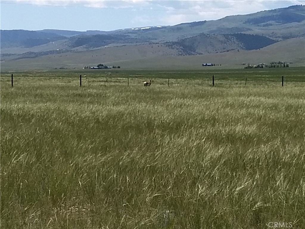 123 Tbd Raghorn Court Ennis, MT 59729 - Photo 9 of 18 a view of outdoor space and mountain view
