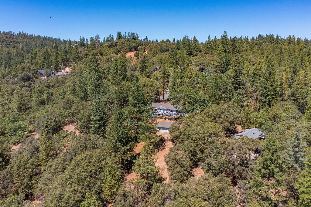 12323 Eldel Road Pine Grove, CA 95665 - Photo 39 of 42 Gallery Image 39