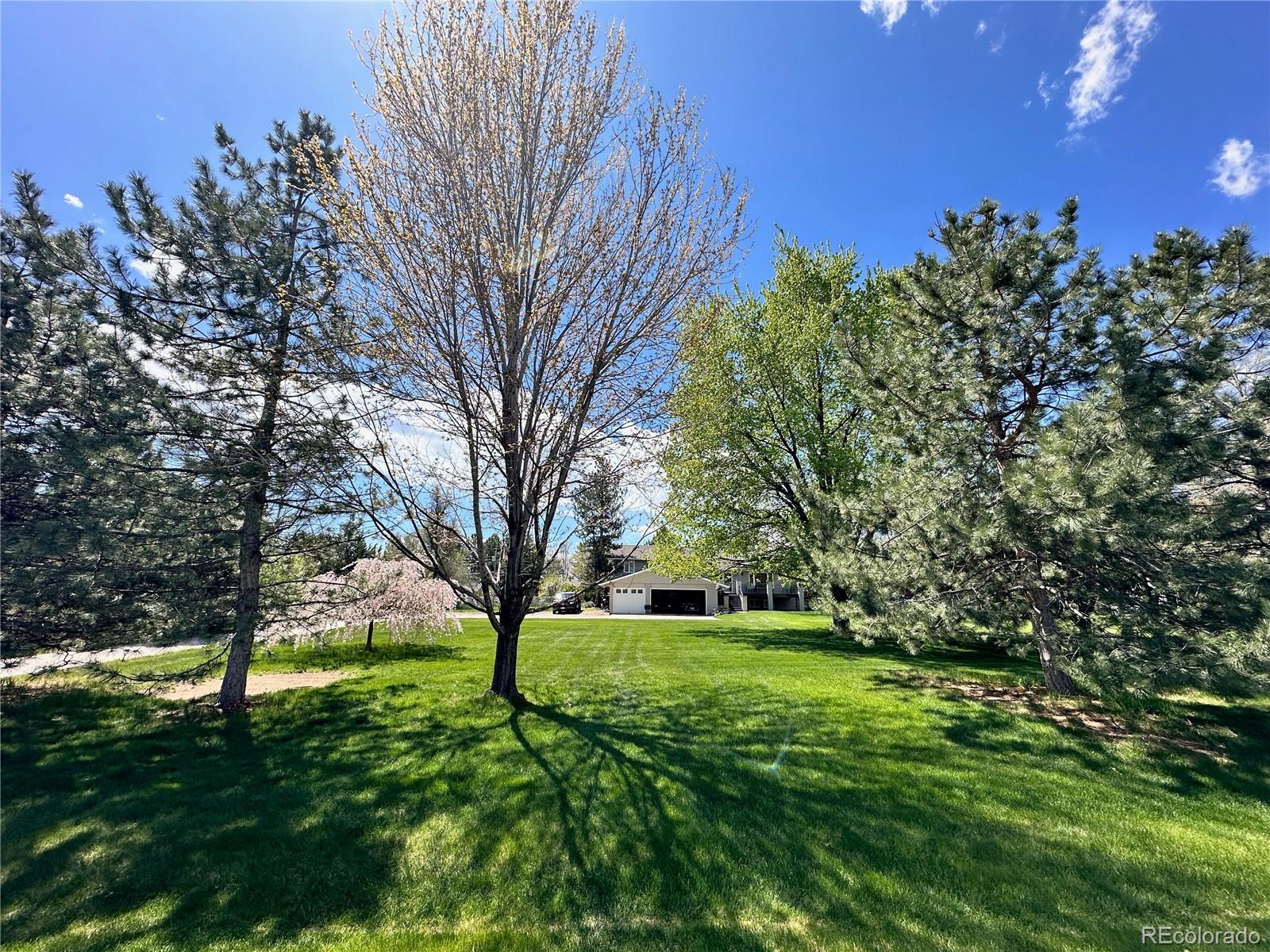 6206 Misty Way Longmont, CO 80503 - Photo 41 of 50