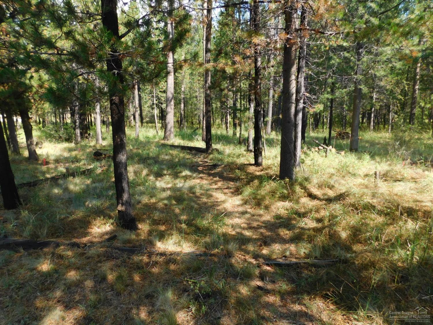 16963 Fontana Road Bend, OR 97707 - Photo 15 of 25 Gallery Image 15