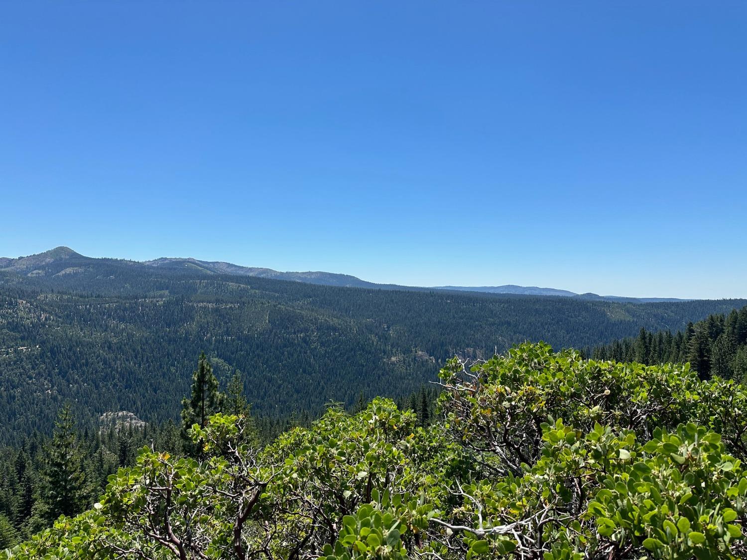 25609 Hoosier Road Nevada City, CA 95959 - Photo 11 of 44 a view of a lush green field with a tree in the background