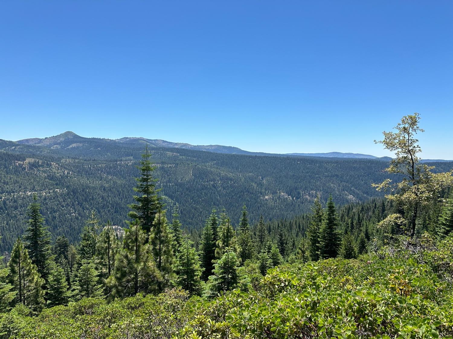 25609 Hoosier Road Nevada City, CA 95959 - Photo 13 of 44 a view of a lush green field with mountains in the background