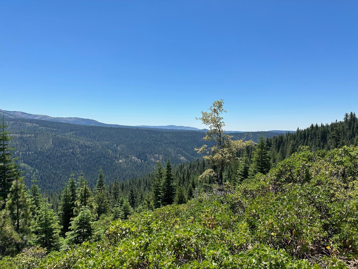 25609 Hoosier Road Nevada City, CA 95959 - Photo 14 of 44 a view of a flower in a garden