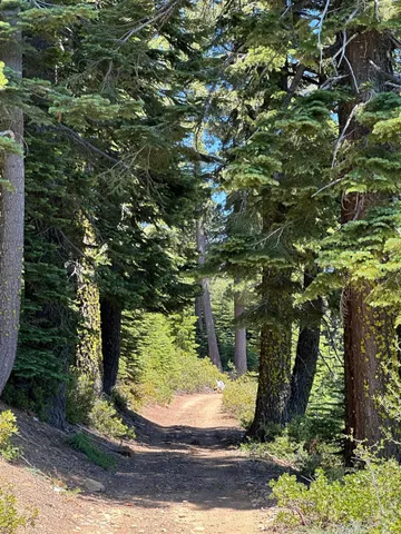 a view of a backyard of the house