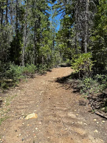 a view of a yard and mountain