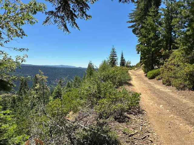 an aerial view of mountain with trees around