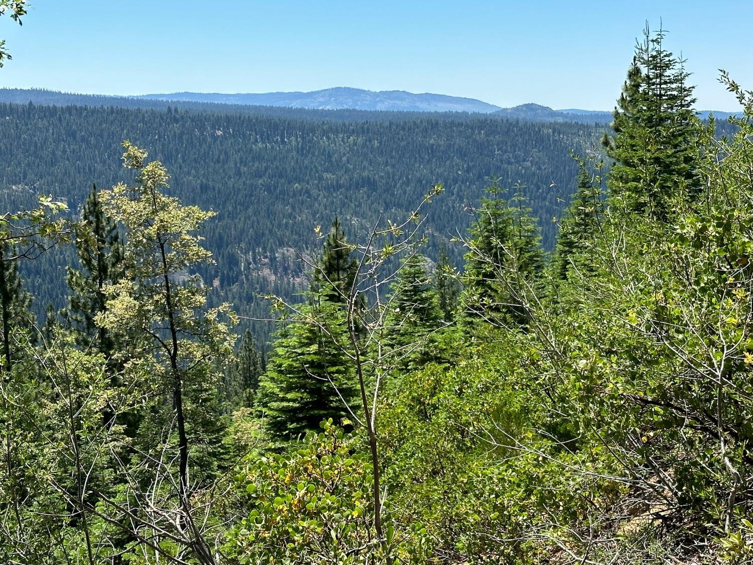 25609 Hoosier Road Nevada City, CA 95959 - Photo 26 of 44 an aerial view of mountain with trees around
