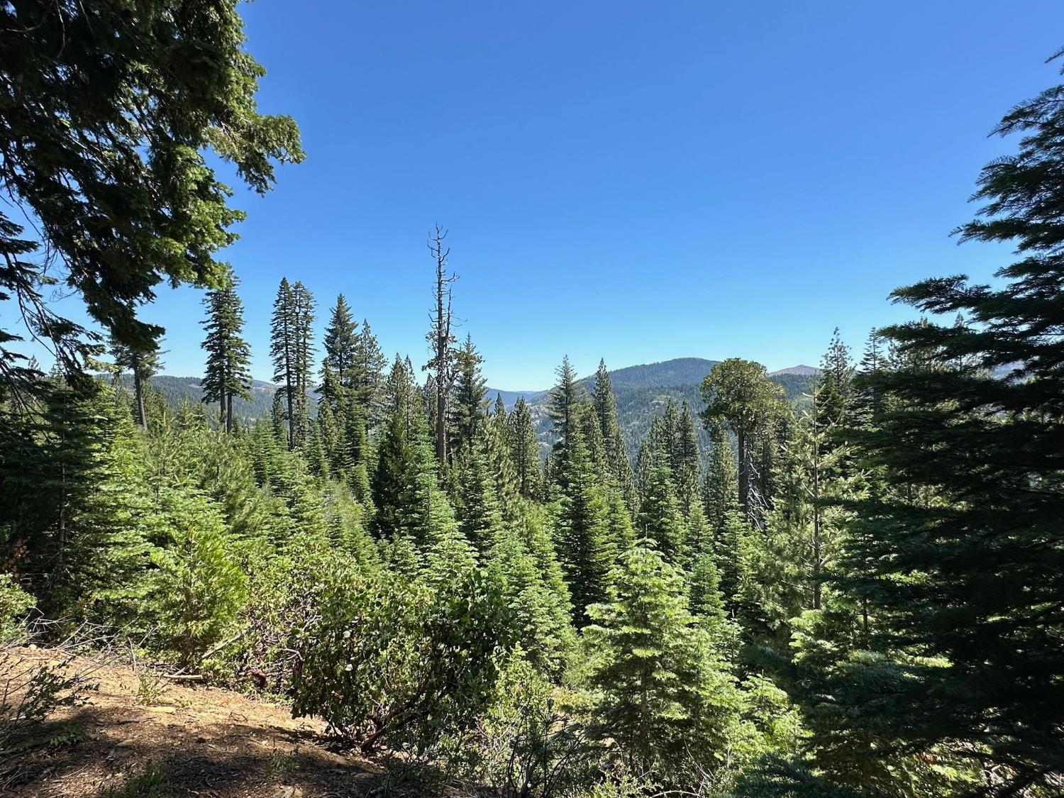 25609 Hoosier Road Nevada City, CA 95959 - Photo 27 of 44 a view of a city with lush green forest