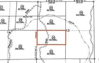 a picture of a room with a small yard