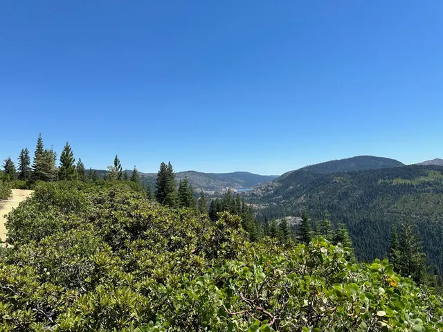 a view of a lush green field with a mountain in the background