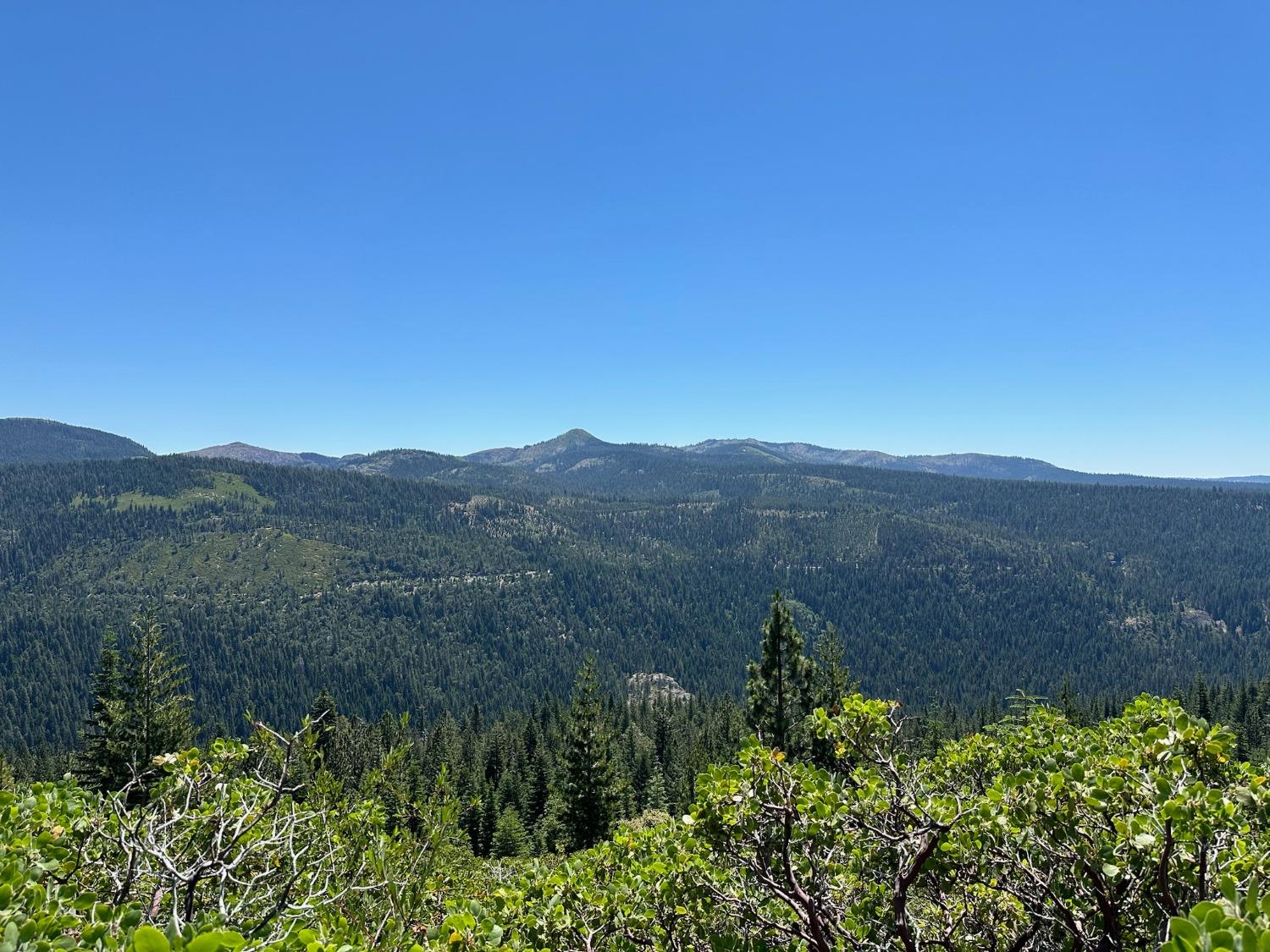 25609 Hoosier Road Nevada City, CA 95959 - Photo 10 of 44 a view of a lush green field with mountains in the background