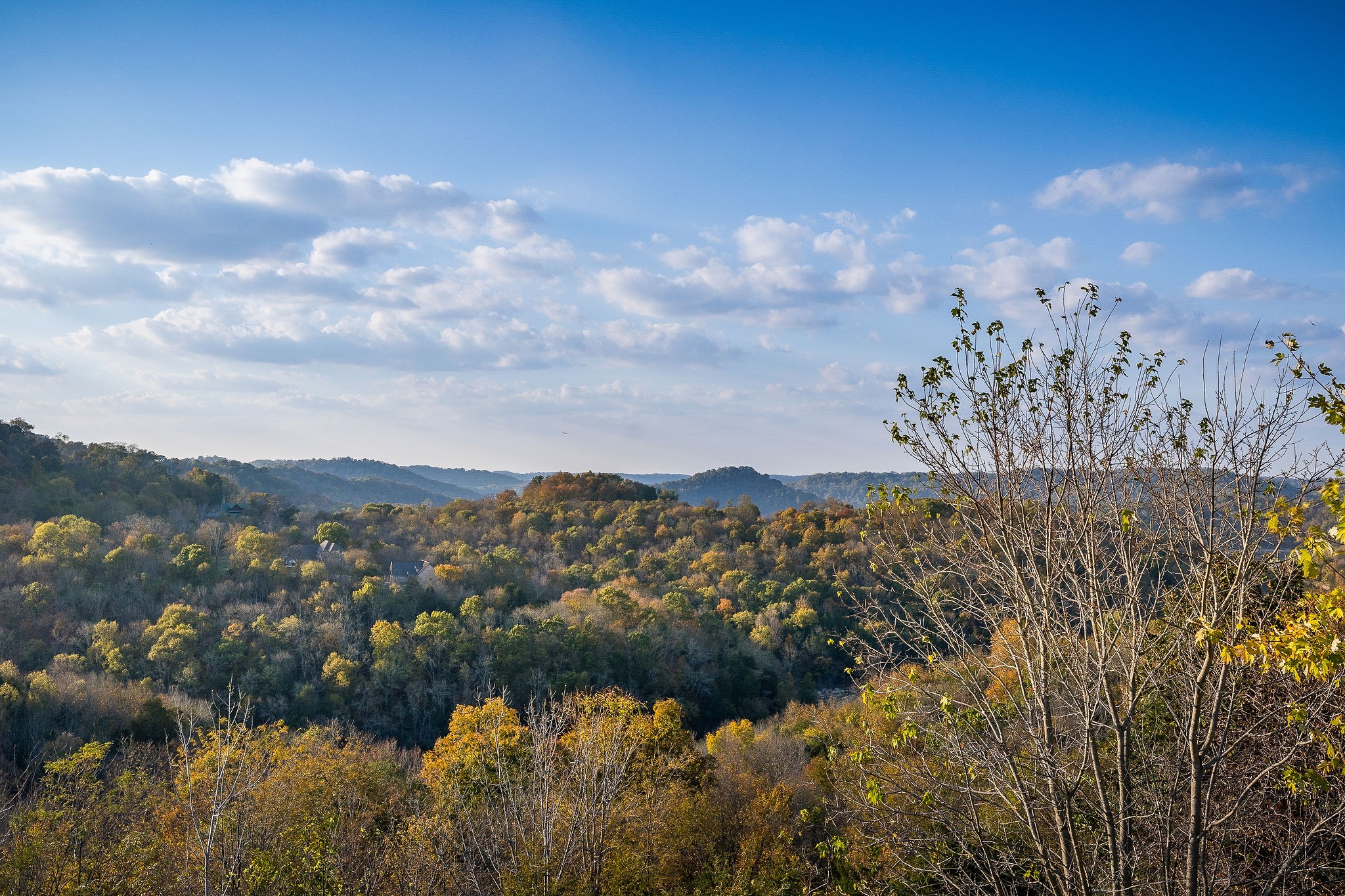 5319 Coconut Ridge Road Smithville, TN 37166 - Photo 24 of 67