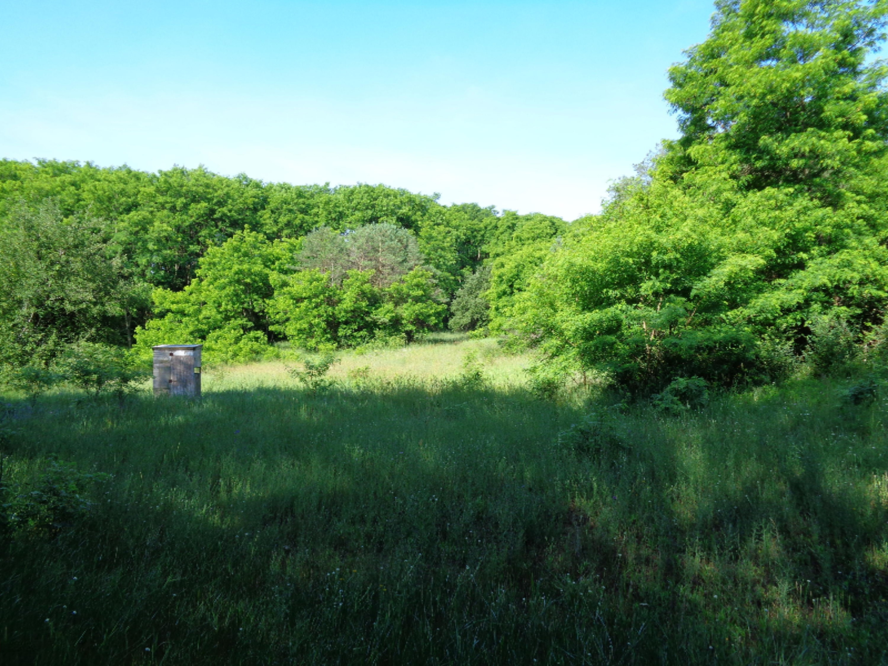 21699 1 Mile Road Reed City, MI 49677 - Photo 18 of 31 DSC00182