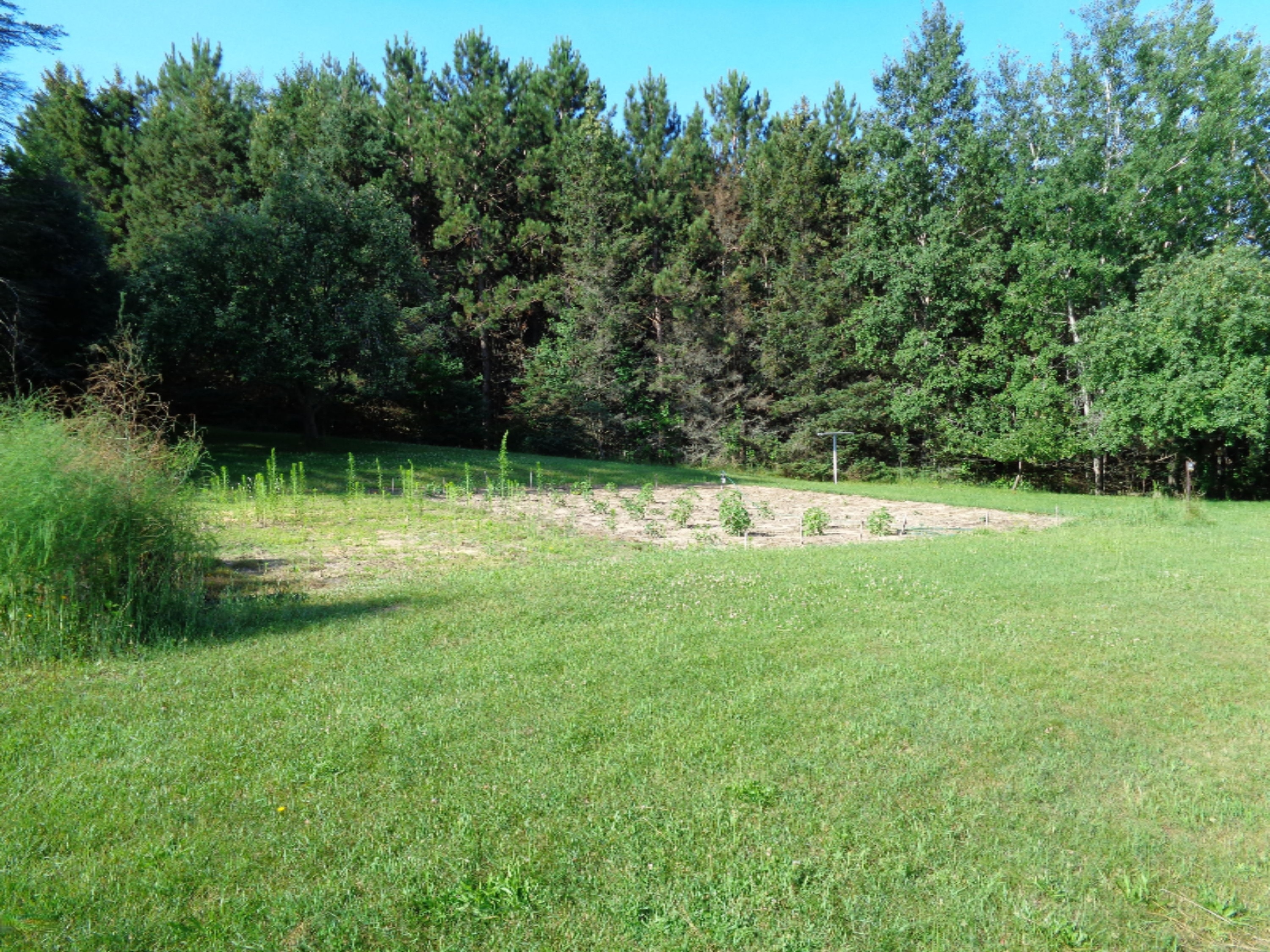 21699 1 Mile Road Reed City, MI 49677 - Photo 4 of 31 DSC00167