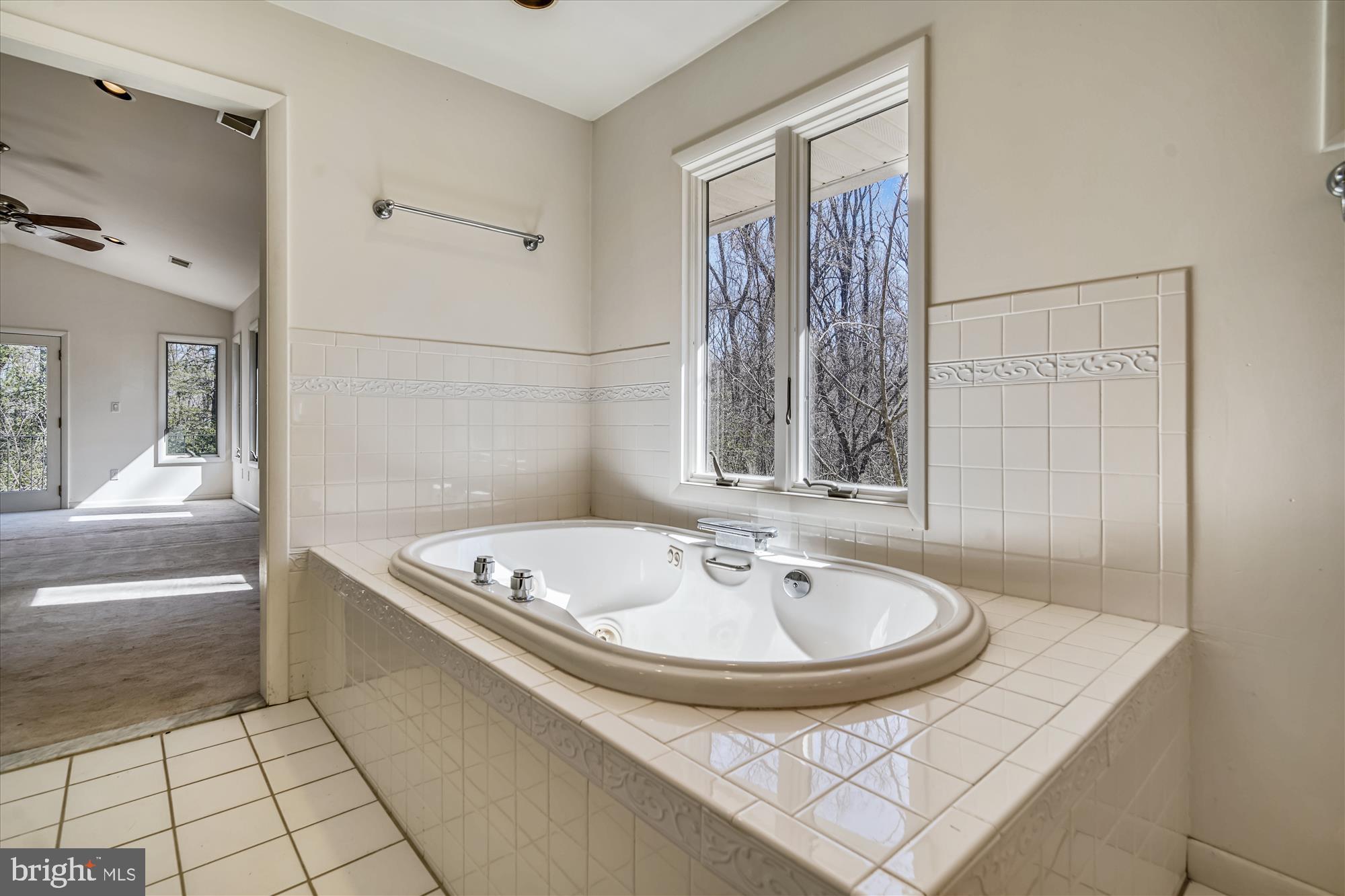2751 Colonial Road Accokeek, MD 20607 - Photo 35 of 49 Jetted tub in master bath
