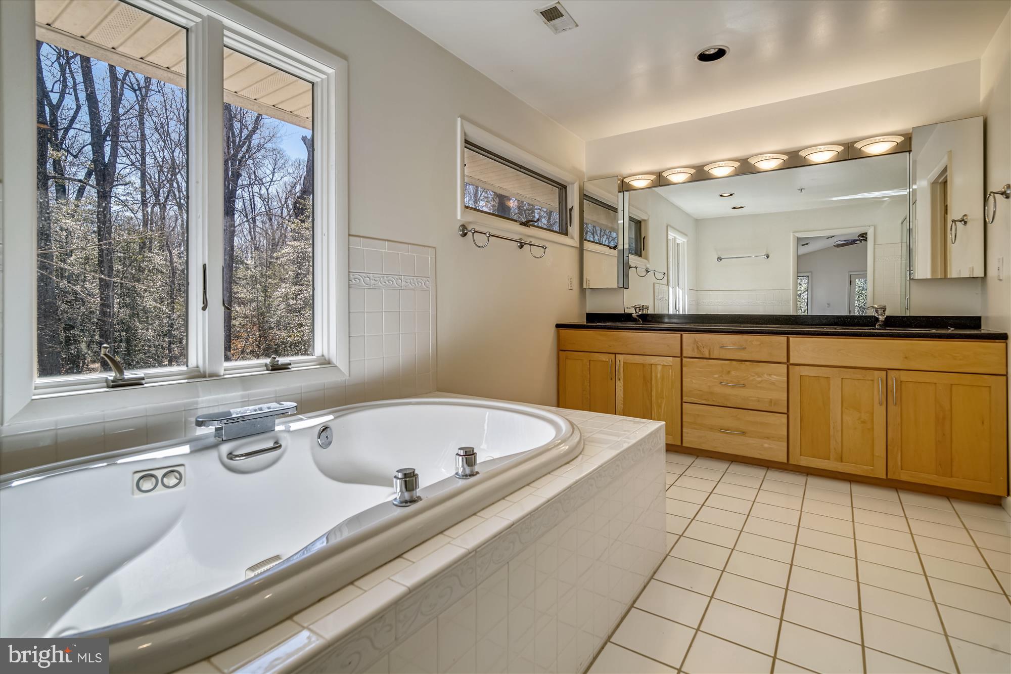 2751 Colonial Road Accokeek, MD 20607 - Photo 36 of 49 Master bath