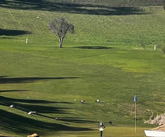 $399,000 | 2073 Maydress Court, Cool, CA 95614