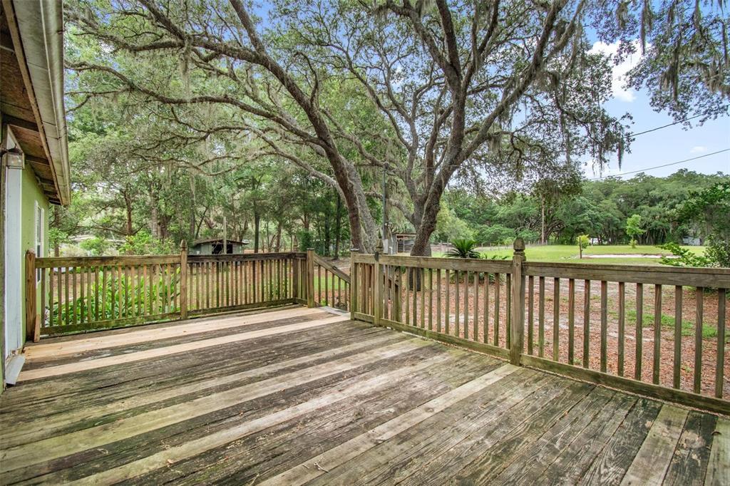 156 Kingfish Road Pomona Park, FL 32181 - Photo 8 of 55 a view of backyard with wooden fence and large trees