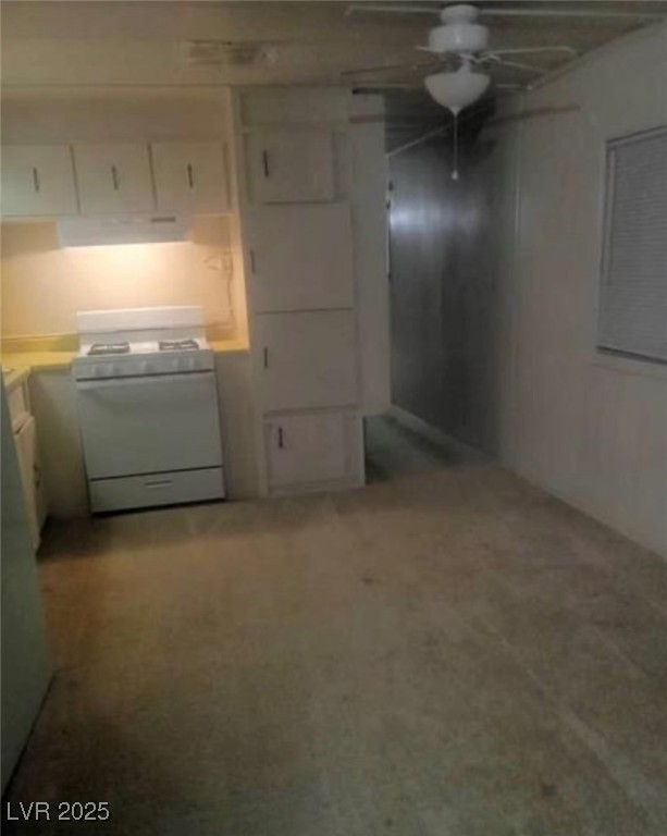 3 Piute Valley Drive Cal-Nev-Ari, NV 89039 - Photo 4 of 14