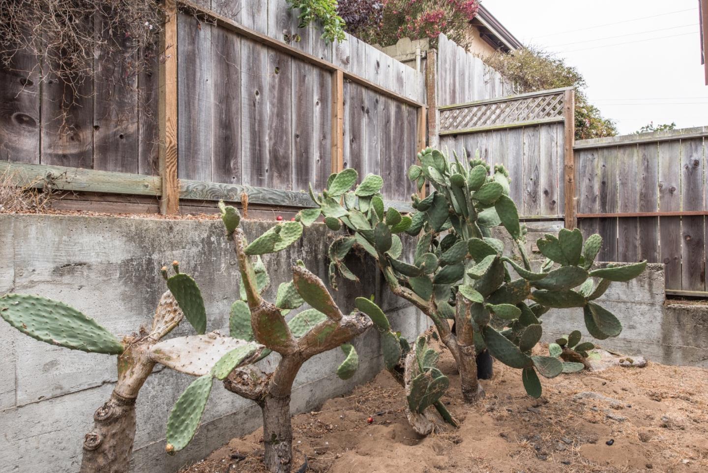 1816 Juarez Street Seaside, CA 93955 - Photo 23 of 27 a backyard of a house with chairs