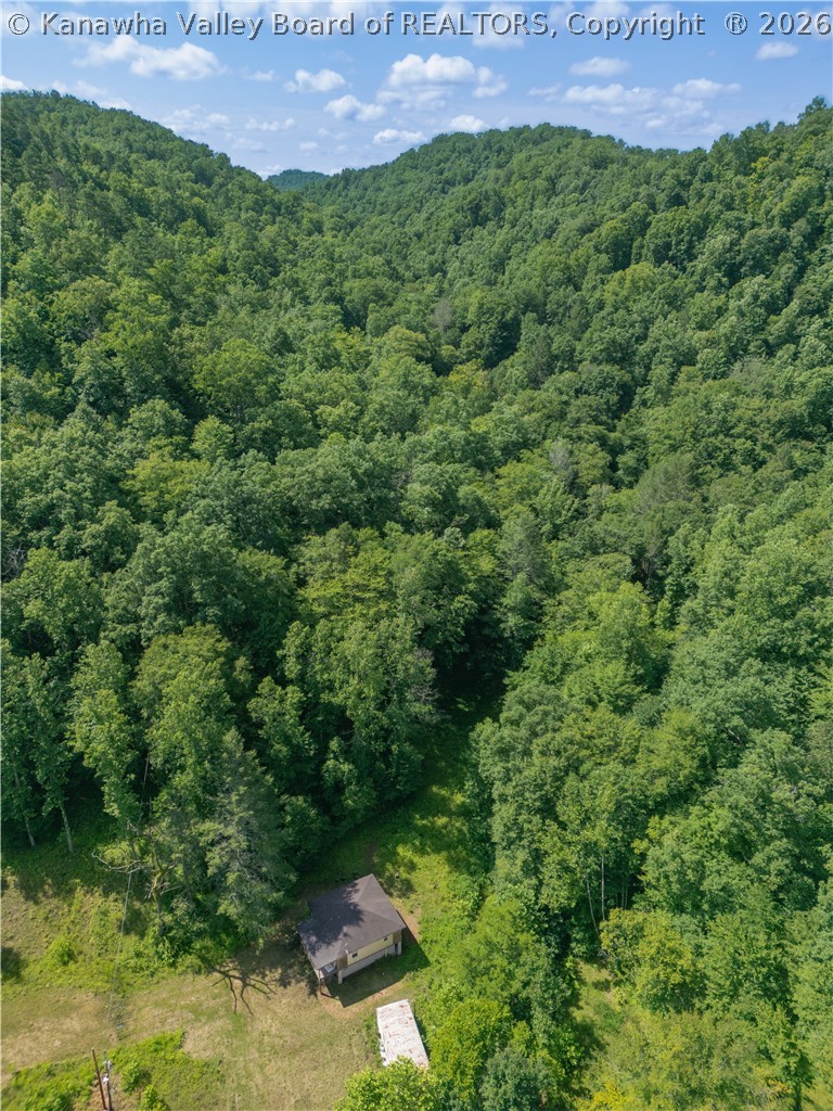 277 Sand Creek Road Harts, WV 25524 - Photo 9 of 16 Gallery Image 9